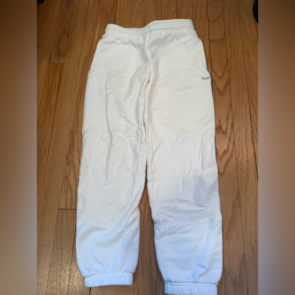 Aritzia Cozyfleece Jogger